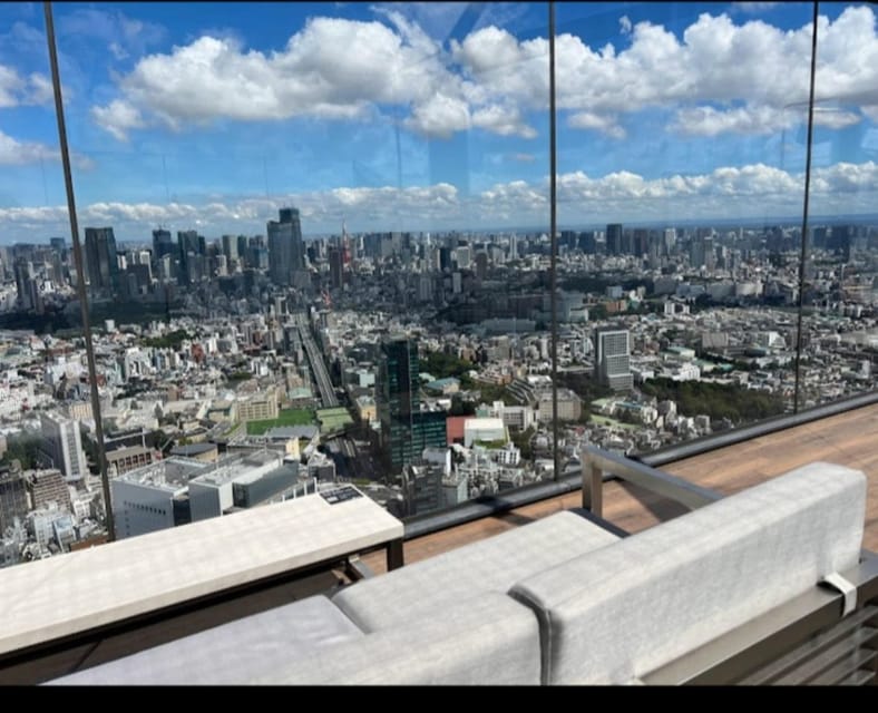 Tokyo: Private Customizable Day Tour with Chauffeur - Why a private car may be worth $335
