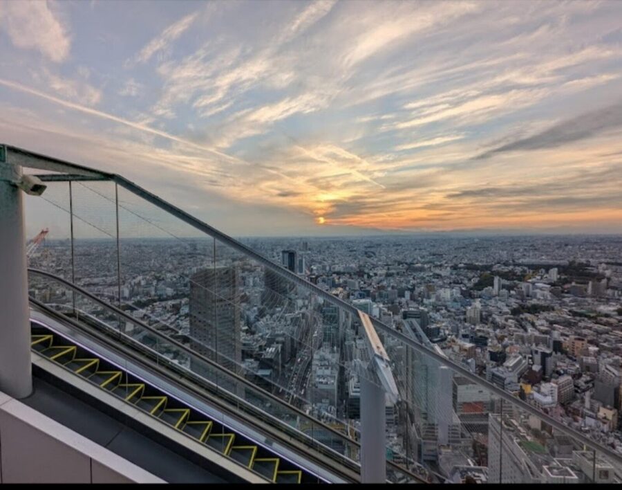 Tokyo: Private Customizable Day Tour with Chauffeur - Tokyo Imperial Palace and the limits of a quick stop