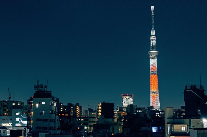 Tokyo Private Customizable Full Day Tour - Ueno Park and Yanaka for a slower Tokyo