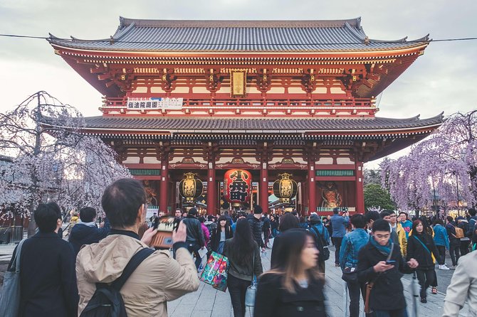 Tokyo Private Customizable Full Day Tour - Tsukiji Outer Market for an early start