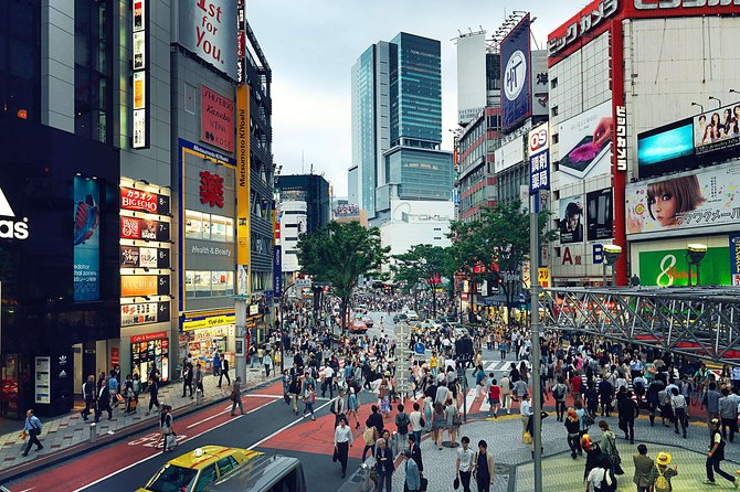 Tokyo Private Customizable Half Day Tour - Asakusa and Ueno for older Tokyo