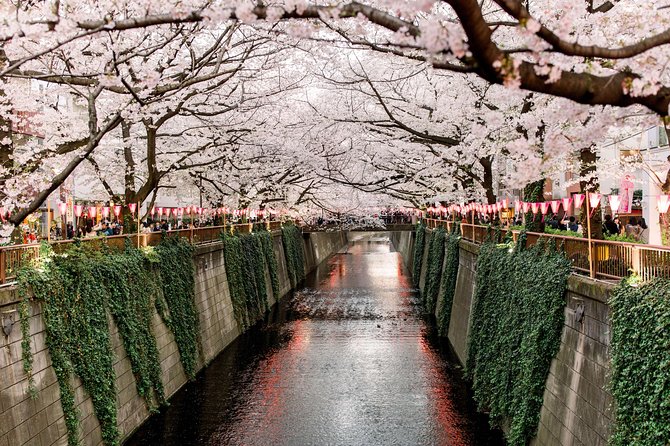 Tokyo Private Customizable Half Day Tour - Tokyo Tower and Shibakoen