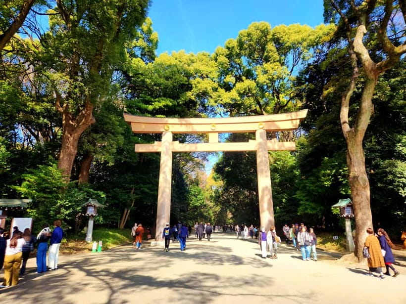 Tokyo: Private & Customizable Tour - All-in-One Experience - Shibuya, modern Tokyo, and city contrasts