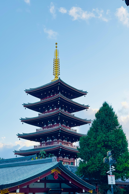 Tokyo: Private & Customizable Tour W/English Speaking Guide - Tokyo Tower delivers the classic city photo