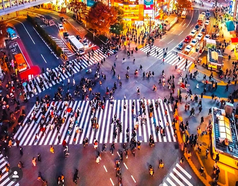 Tokyo: Private Customizable Tour with a Local Guide - Key points to know before booking