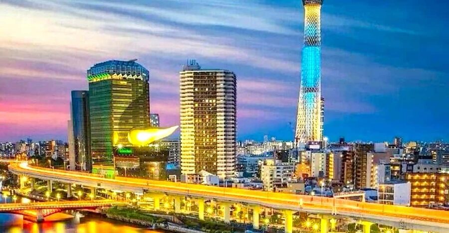 Tokyo: Private Customizable Tour with a Local Guide - Why a private Tokyo tour can be worth the $120