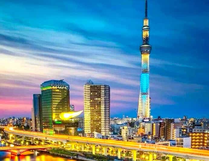 Tokyo: Private Customizable Tour with a Local Guide - Tsukiji Outer Market: the best place to lead with food