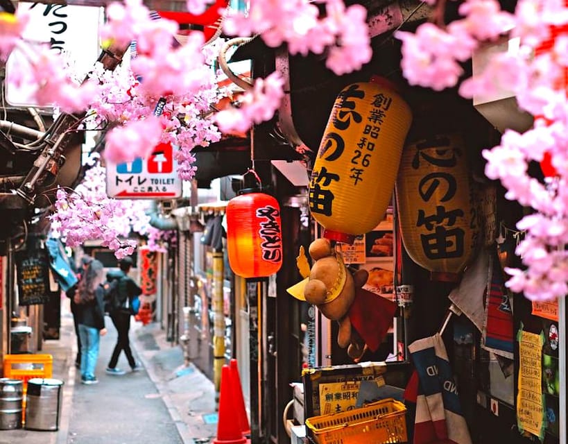 Tokyo: Private Customizable Tour with a Local Guide - What the guides add to the day