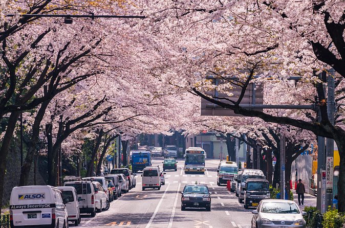 Tokyo Private Customizable Tour with English Speaking Chauffeur - Harajuku and Shibuya Show Tokyo’s Youthful Side