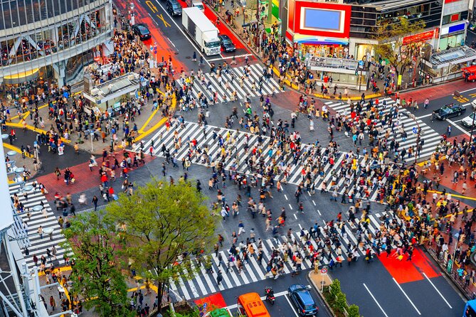 Tokyo Private Customizable Tour with English Speaking Chauffeur - Tokyo Skytree Gives You a Choice