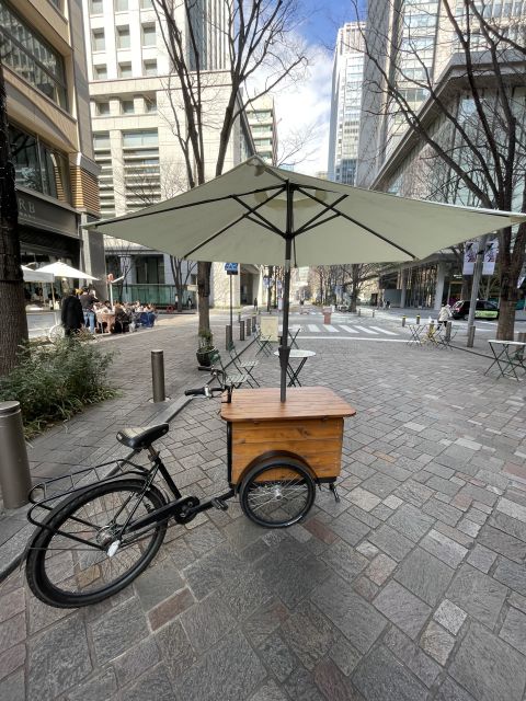 Tokyo: Private Cycling Tour with cute E-bike - Imperial Palace gates and open city views