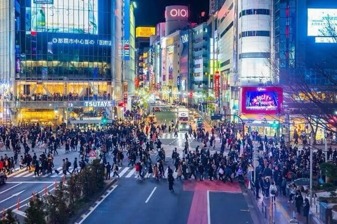 Tokyo Private Day Tour by Car with English speaking Driver - Key points at a glance