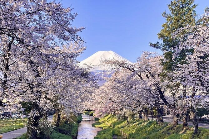 Tokyo Private Day Tour by Car with English speaking Driver - Tokyo Tower and the retro side of the capital