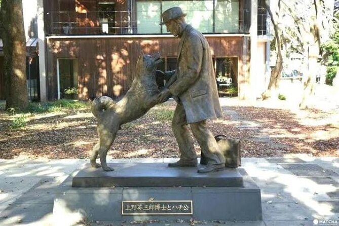 Tokyo Private Day Tour by Car with English speaking Driver Guide - Key points to know before booking