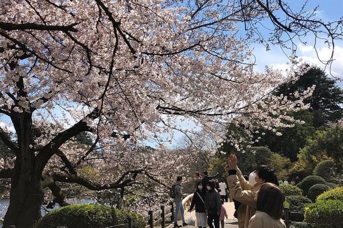 Tokyo Private Day Tour by Car with English speaking Driver Guide - The Imperial Palace and a timing trap