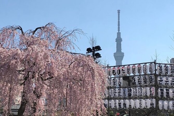 Tokyo Private Day Tour by Car with English speaking Driver Guide - Shibuya Crossing in thirty minutes