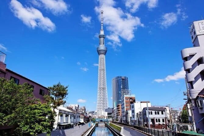 Tokyo Private Day Tour by Car with English speaking Driver - Tokyo Skytree and the city from 634 meters