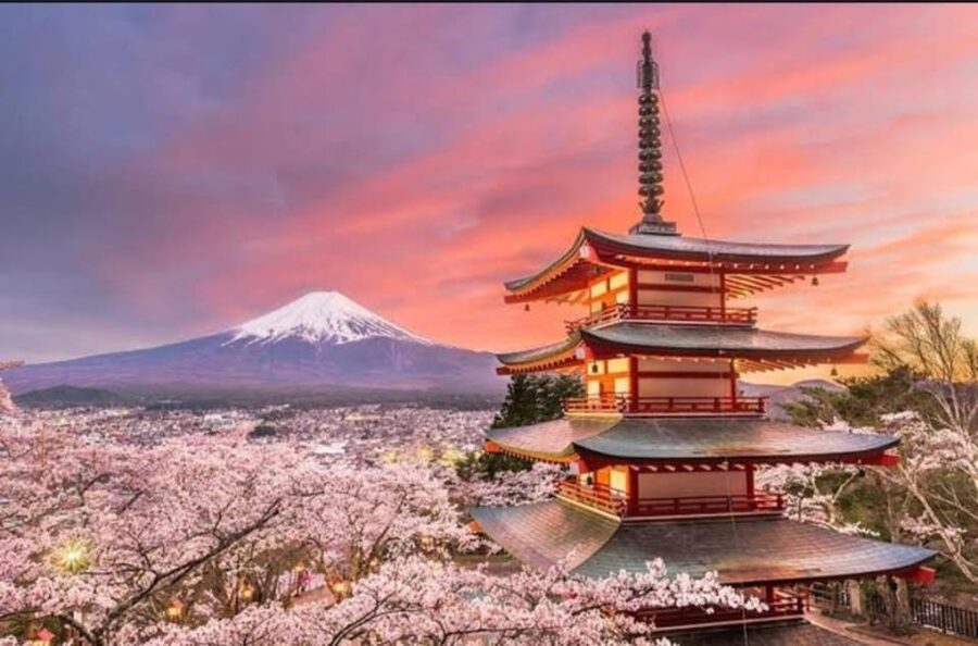 Tokyo: Private Day Trip to Mount Fuji and Hakone - Is $100 a good price?