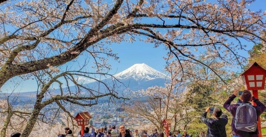 Tokyo: Private Day Trip to Mount Fuji and Hakone - Chureito Pagoda and Arakura Fuji Sengen Shrine