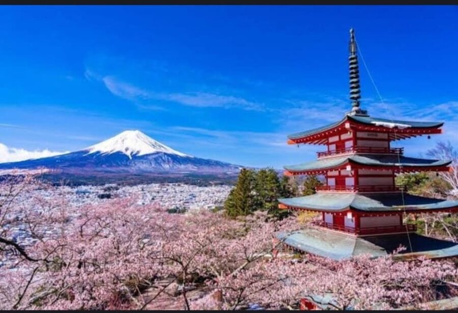 Tokyo: Private Day Trip to Mount Fuji and Hakone - Hakone Ropeway, Lake Ashi, and Owakudani