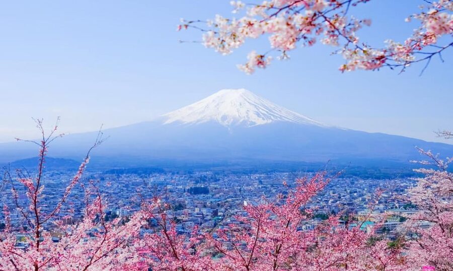 Tokyo: Private Day Trip to Mount Fuji and Hakone - Gotemba Premium Outlets as an optional-style finish