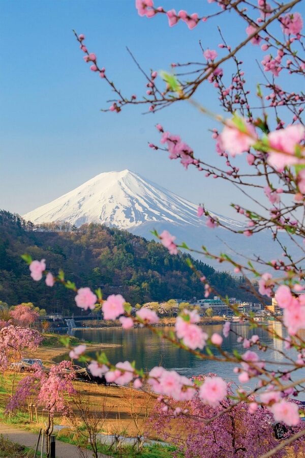 Tokyo: Private Day Trip to Mount Fuji and Hakone - What the private format really adds