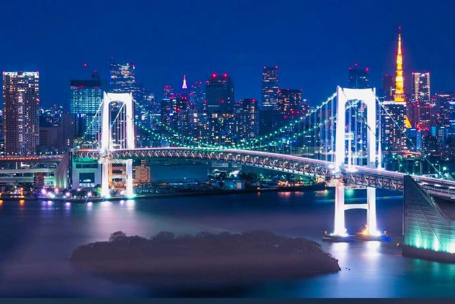 Tokyo Private Day Trip With English Speaking Driver - Why a private van makes sense in Tokyo
