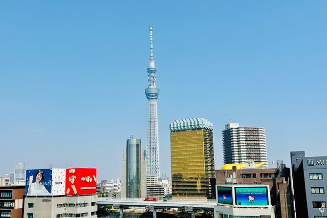 Tokyo Private Full-Day Tour by Luxury Alphard with Guide - Tokyo Skytree: the day’s big view