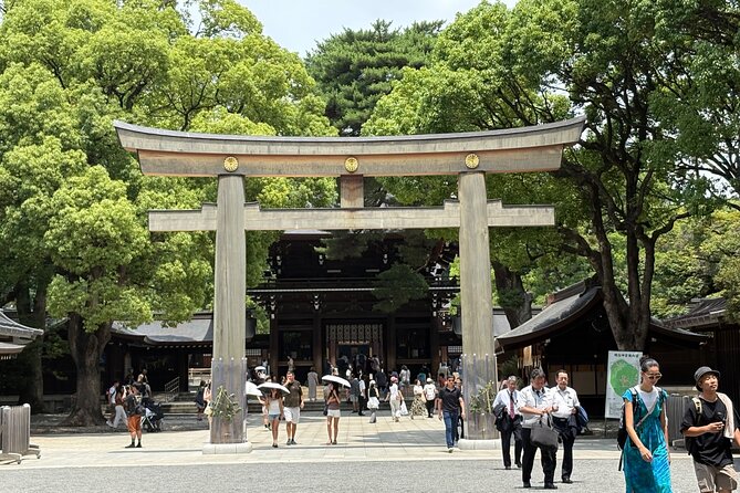 Tokyo Private Full-Day Tour by Luxury Alphard with Guide - Optional Tokyo stops let you shape the day