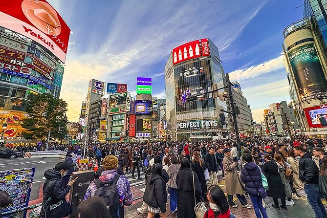 Tokyo Private Guided 1/2-Day Walking Subway Tour English guide - Shibuya Crossing shows Tokyo in motion