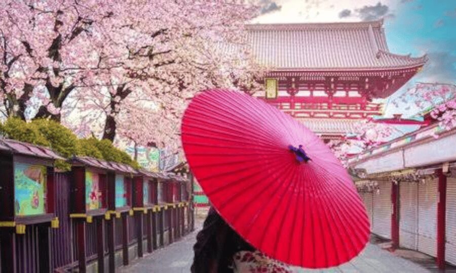 Tokyo: Private Guided Tour with Hotel Pickup and Drop-off - Key points to know before booking