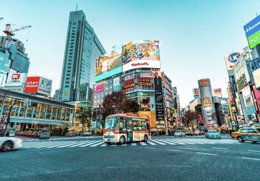 Tokyo: Private Guided Tour with Hotel Pickup and Drop-off - A private car is a smart way to read Tokyo quickly