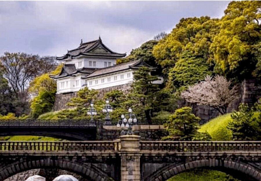 Tokyo: Private Guided Tour with Hotel Pickup and Drop-off - Senso-ji and Asakusa: Tokyo’s most approachable temple visit