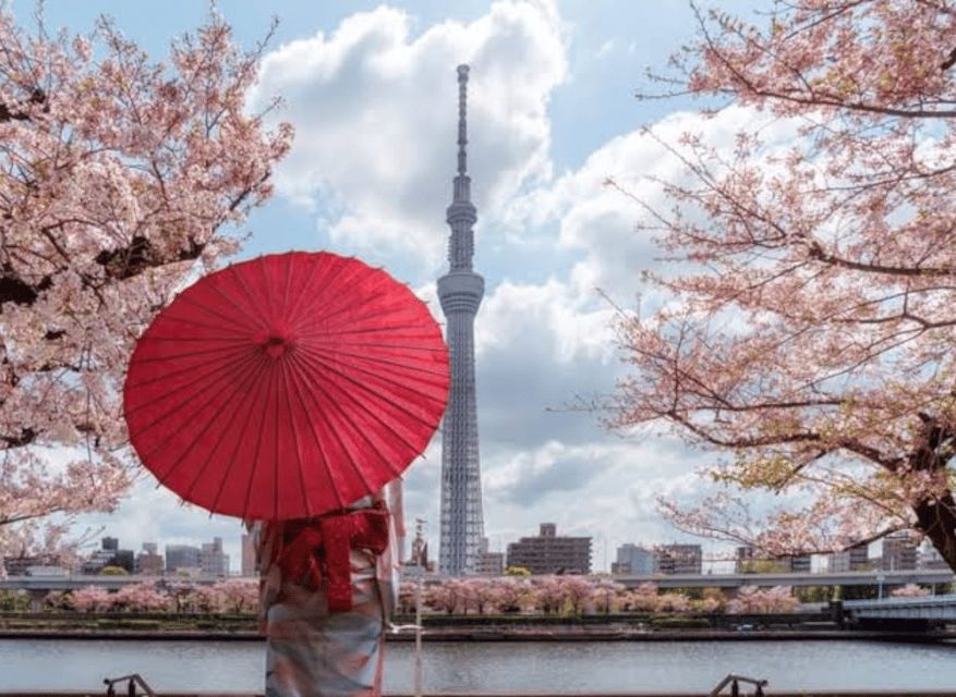 Tokyo: Private Guided Tour with Hotel Pickup and Drop-off - Shibuya Crossing: the city’s famous pulse