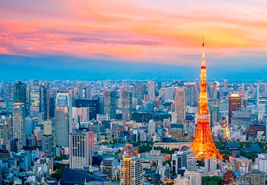 Tokyo: Private Guided Tour with Hotel Pickup and Drop-off - Odaiba: futuristic Tokyo across the bay