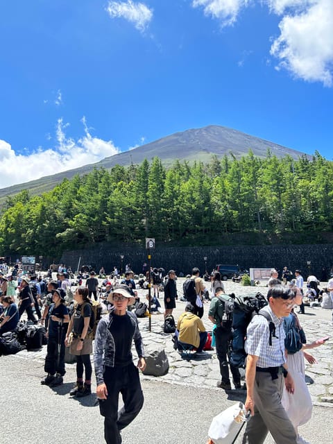 Tokyo: Private Half-Day Highlights Tour by Car with Guide - The $385 price makes sense for the right group