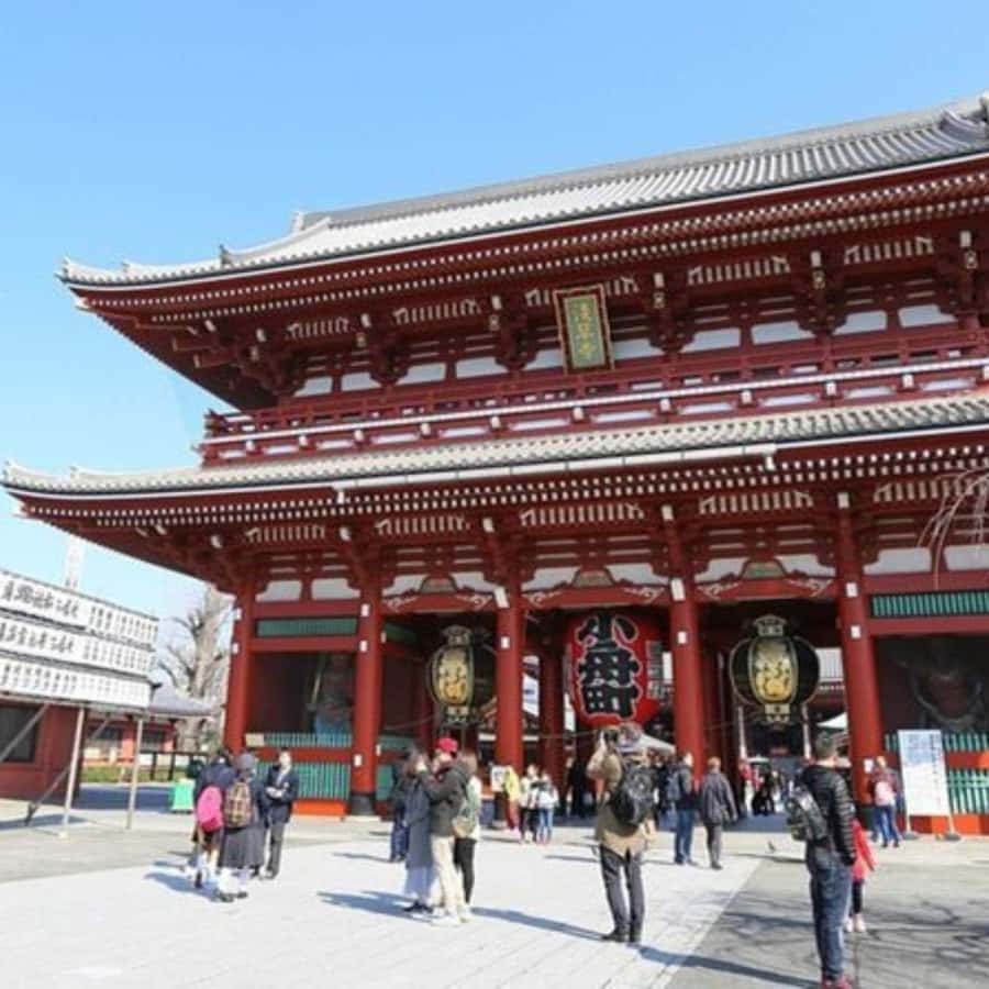 Tokyo: Private Instagramable Customised Tokyo City Day Tour - A private car changes how you see Tokyo