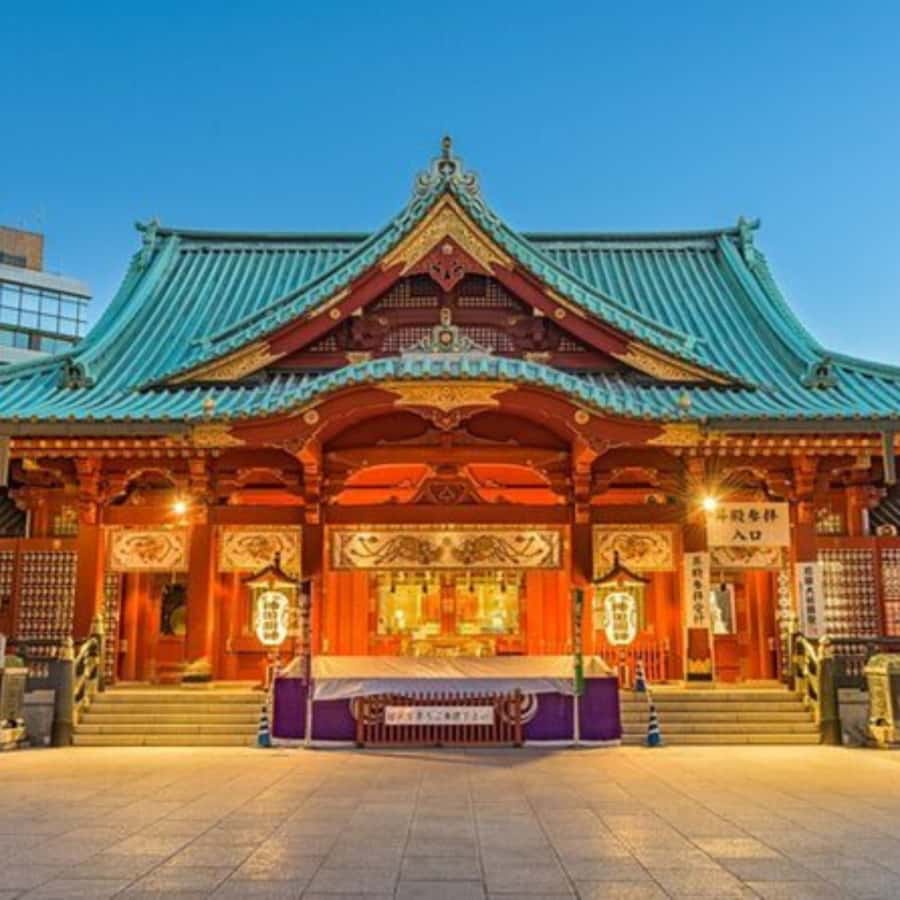 Tokyo: Private Instagramable Customised Tokyo City Day Tour - Meiji Shrine: a quiet break near Harajuku