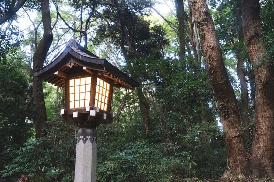 Tokyo: Private Meiji Shrine & Harajuku Highlights Tour - Timing, cost, and practical preparation