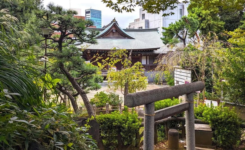 Tokyo: Private Morning Run with Sento Bath Experience