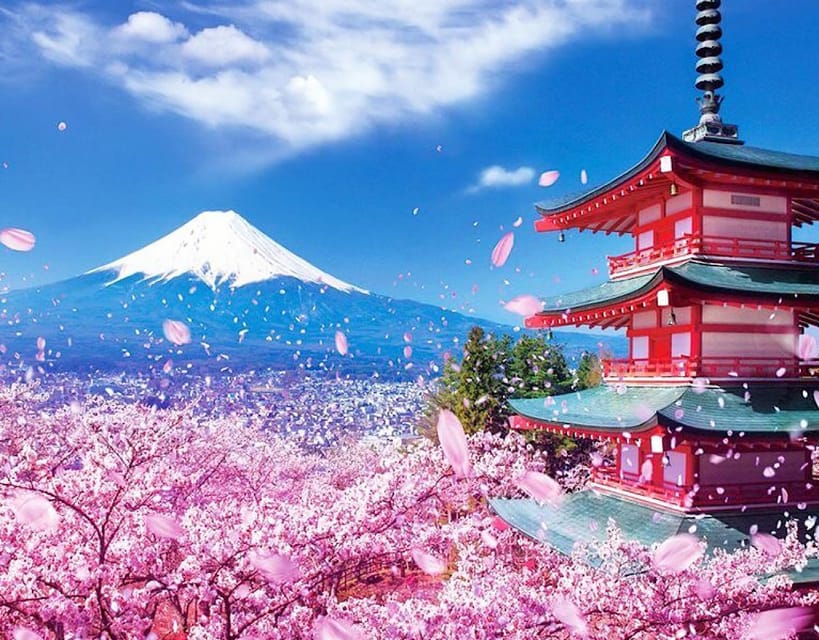 Tokyo: Private Mount Fuji and Hakone Day Trip with Guide - Lake Kawaguchi, Kachi Kachi Ropeway, and Oishi Park