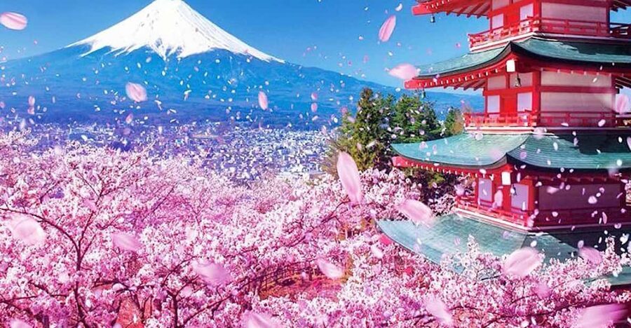 Tokyo: Private Mount Fuji and Hakone Day Trip with Guide - Is $419 a fair price for five people?