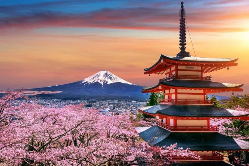 Tokyo: Private Mount Fuji Day Trip with Private Guide - Key points to know before booking