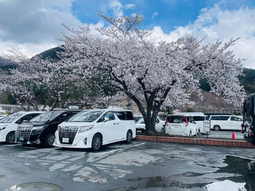 Tokyo: Private Mount Fuji Day Trip with Private Guide - Oshino Hakkai and its spring-fed ponds
