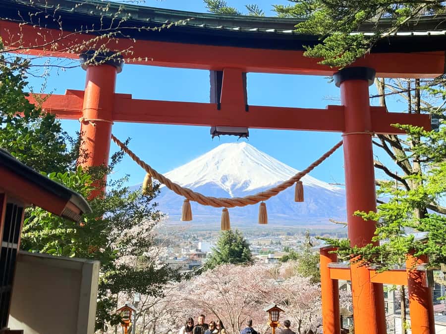 Tokyo: Private Mount Fuji Tour with Pickup and Drop-Off - Key points to know before booking