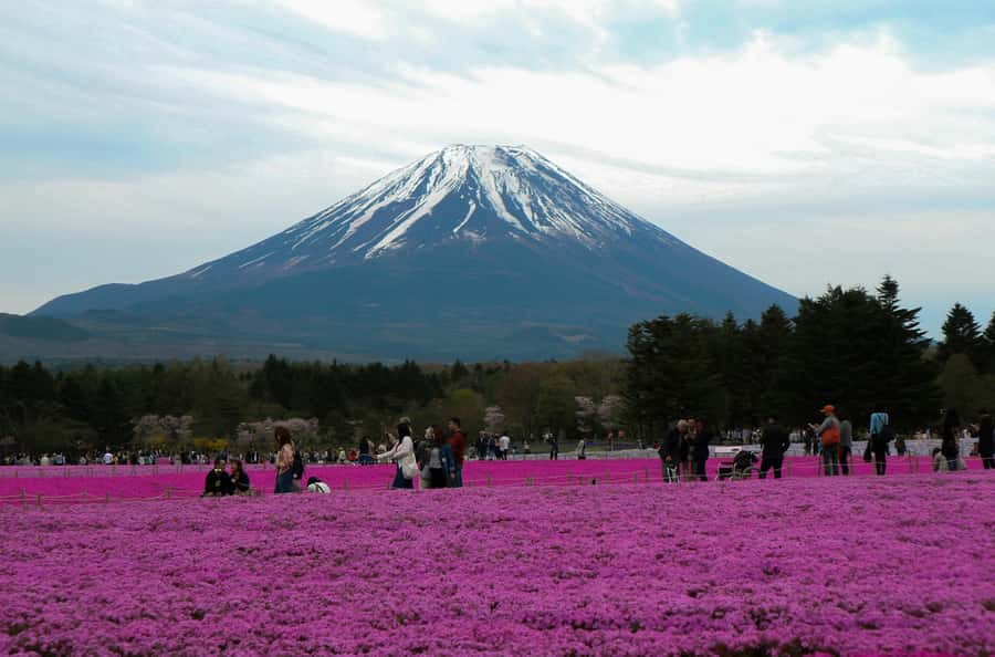 Tokyo: Private Mount Fuji Tour with Pickup and Drop-Off - Oshino Hakkai combines springs, food, and old village scenery