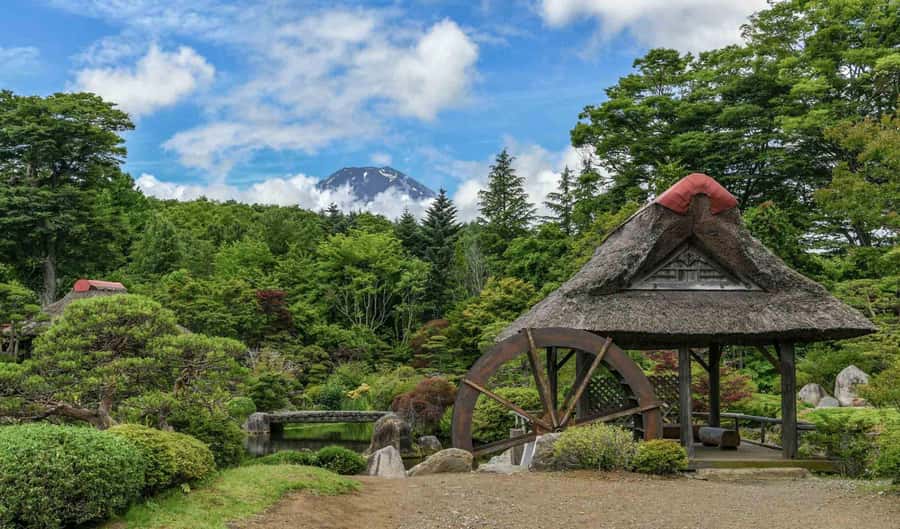 Tokyo: Private Mount Fuji Tour with Pickup and Drop-Off - The 5th Station requires a clear request