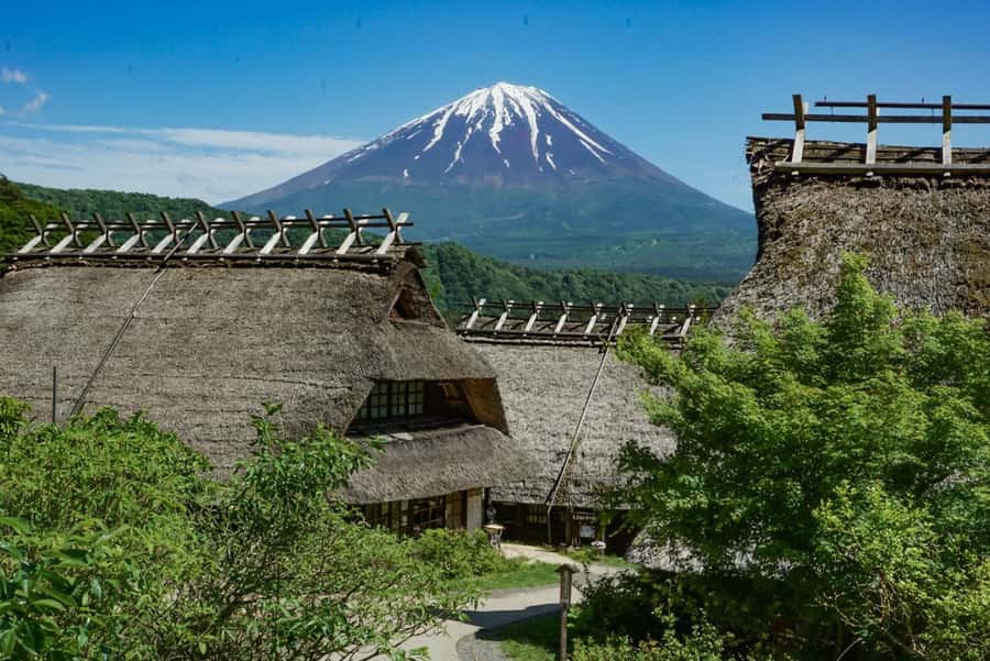 Tokyo: Private Mount Fuji Tour with Pickup and Drop-Off - Food, entry fees, and the real cost of the day