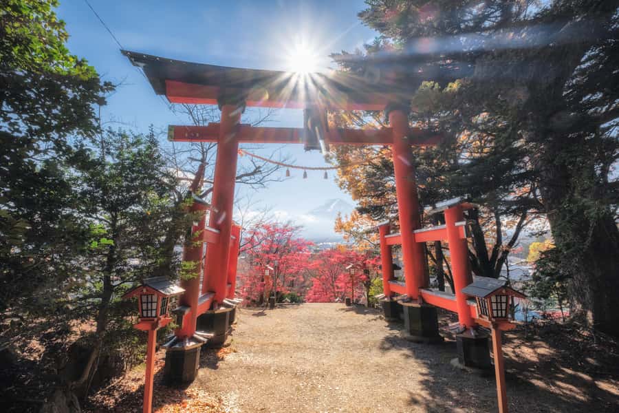 Tokyo: Private Mt.Fuji Day Trip with English-Speaking Driver - Why this private Fuji outing works well