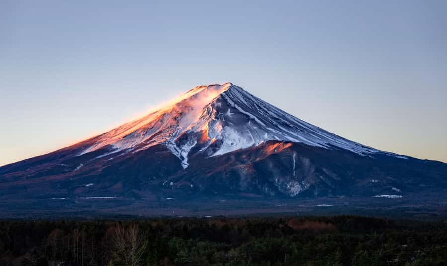 Tokyo: Private Mt.Fuji Day Trip with English-Speaking Driver - What the driver does, and what the driver does not do